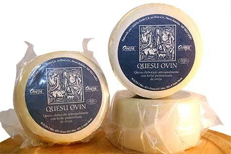 Queso de Oveja Ovin