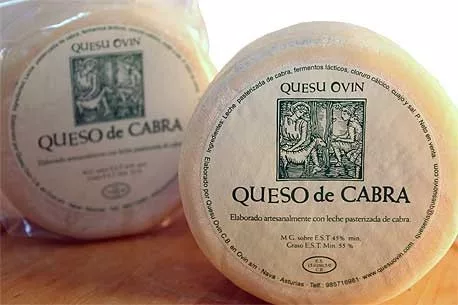 Queso de Cabra Ovin