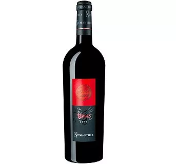 Vino tinto Termes 2013 Numanthia