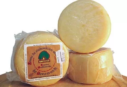 Queso de Taramundi